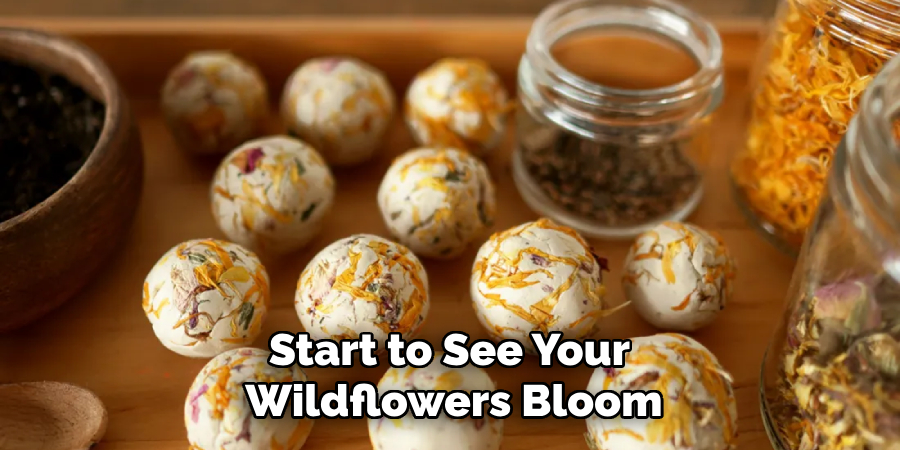 Start to See Your 
Wildflowers Bloom