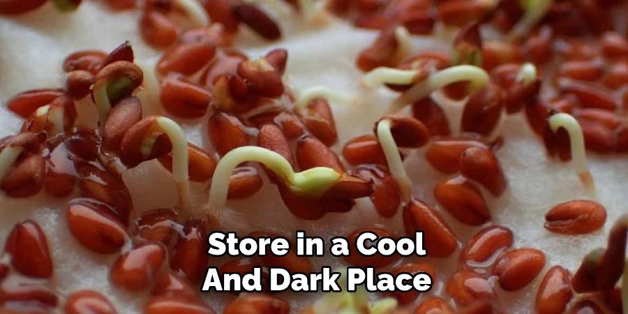 Store in a Cool and Dark Place