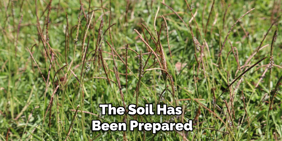 The Soil Has 
Been Prepared