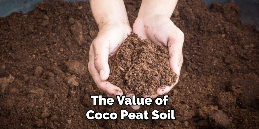 The Value of
Coco Peat Soil