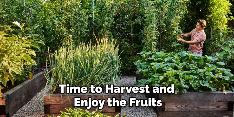 Time to Harvest and
Enjoy the Fruits