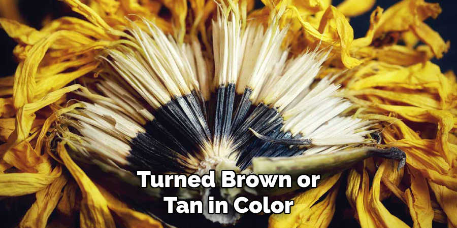 Turned Brown or
Tan in Color
