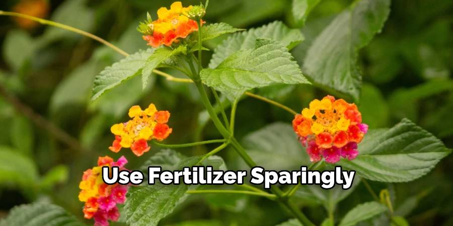 Use Fertilizer Sparingly
