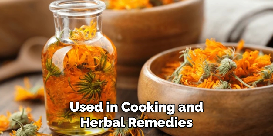 Used in Cooking and
Herbal Remedies