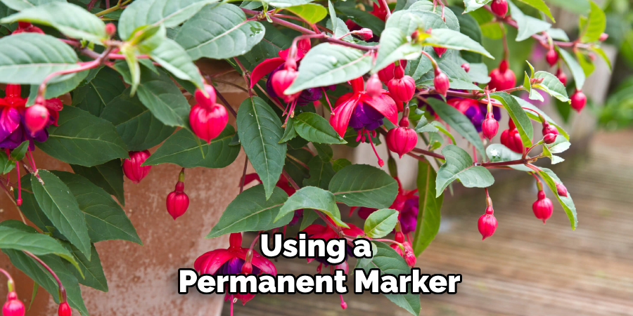 Using a
Permanent Marker