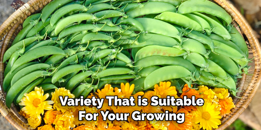 Variety That is Suitable
For Your Growing