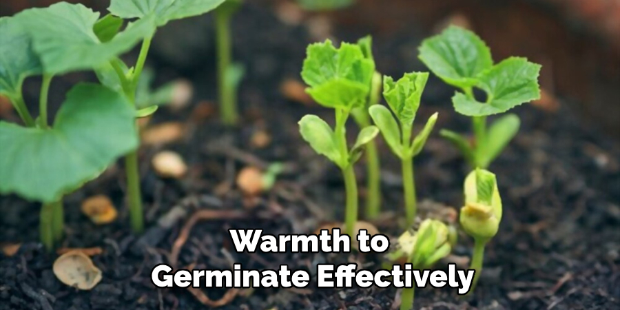 Warmth to 
Germinate Effectively