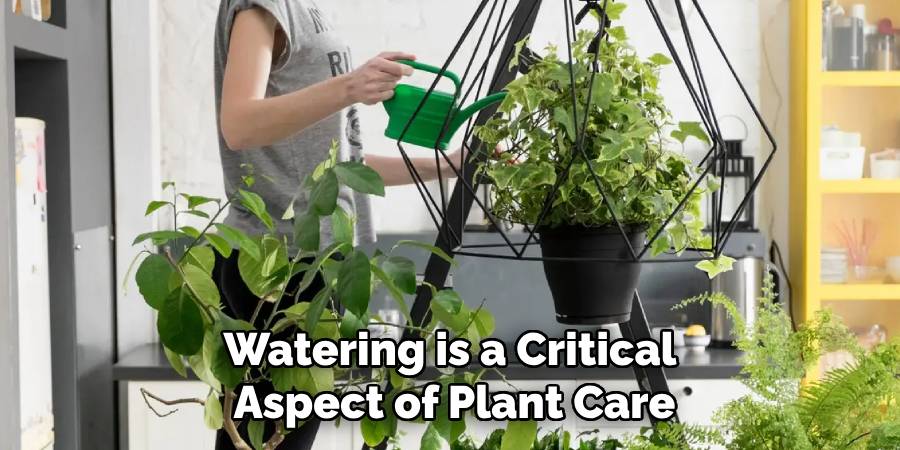 Watering is a Critical
Aspect of Plant Care