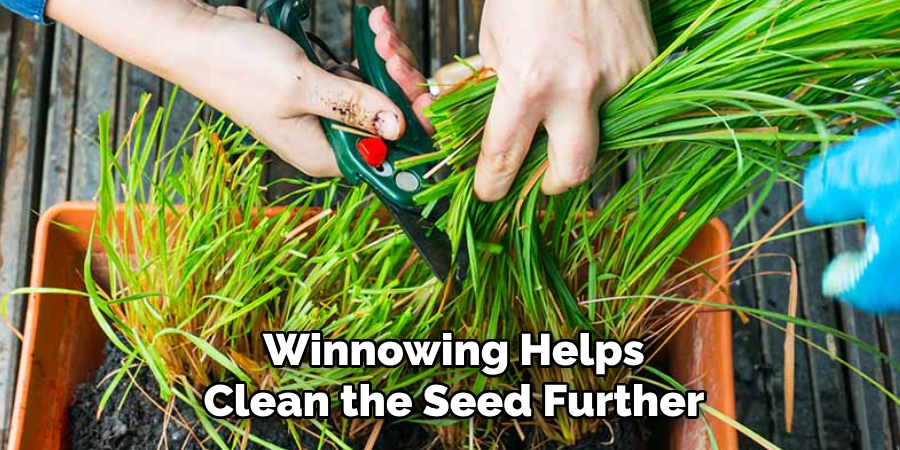 Winnowing Helps
Clean the Seed Further