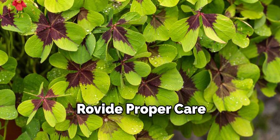 rovide Proper Care
