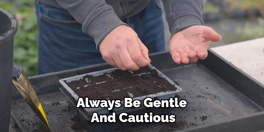 Always Be Gentle
And Cautious